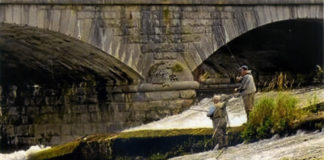 Proposal to ban fishing below Fermoy weir