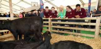 Davis College students selected to partake in unique secondary schools competition