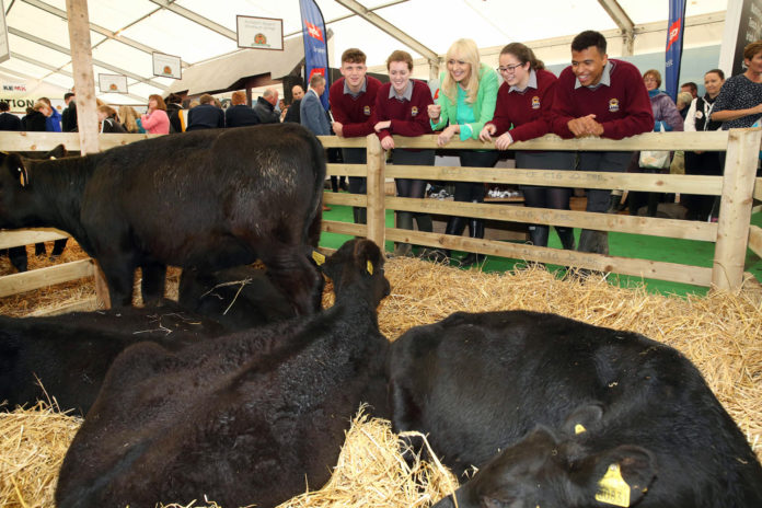 National Ploughing Miriam o'Callaghan 1920px@27-09-2017-21:43:51.jpg