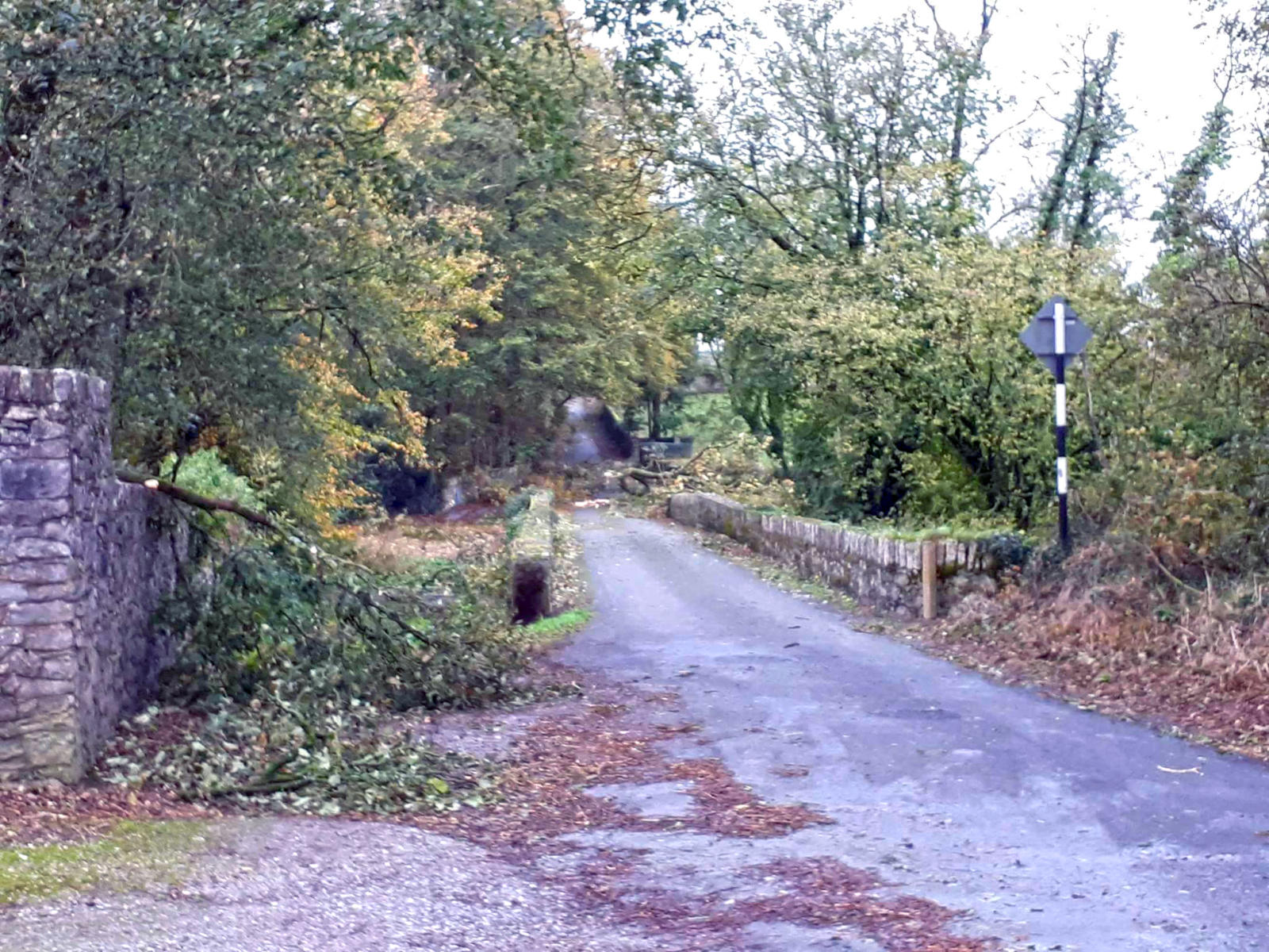 Council praised for its countywide response to Hurricane Ophelia