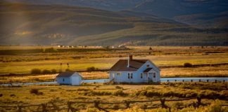 If only everyone facing homelessness had a newspaper column