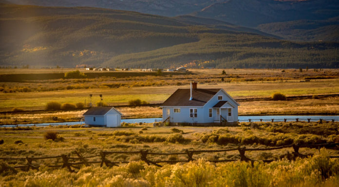 If only everyone facing homelessness had a newspaper column