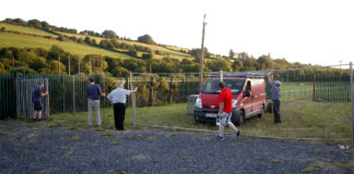 Carnival surveys being independently assessed