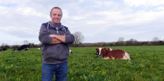 Castlelyons farmer to receive Agricultural pioneer award