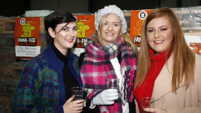 Fanahn Fest Mitchelstown 1920px@29-11-2017-09:21:25.jpg