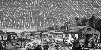 The Night The Stars Fell
