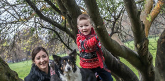 Agri Aware appeals to shoppers to support Irish farmers and food producers this Christmas