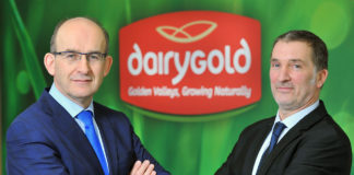 Dairygold elects new Chairman