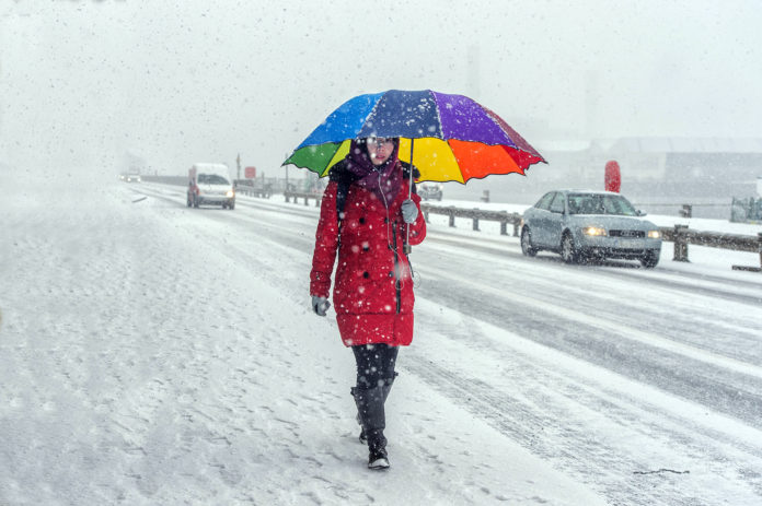 Provision Snow Cork 1920px@28-02-2018-17:25:13.jpg