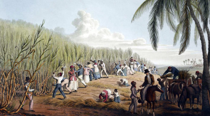 The Irish were not slaves. Get over yourself.