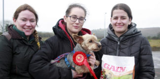 Successful debut for Avondhu Foxhounds Dog Show