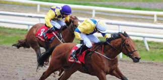 First winner for young Mike O’Connor