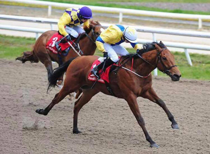 Mike O'Connor jockey 1920px@25-04-2018-15:32:08.jpg