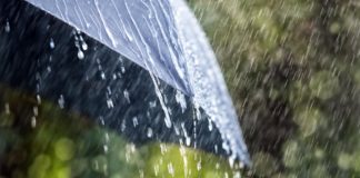 HEAVY RAIN ALERT – Up to 50mm to fall in next 24 hours