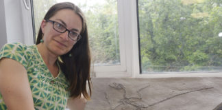 Dino-bird dandruff research head and shoulders above rest