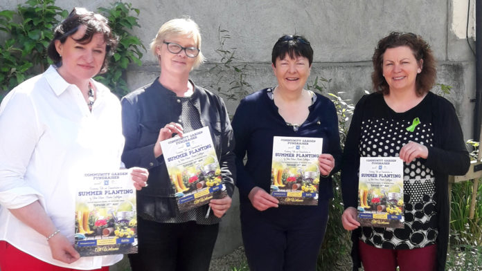 Fermoy Community Garden Fundraiser 1920px@23-05-2018-19:31:01.jpg