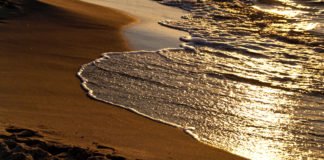 Beach lovers, take note of the Beach Price Index!