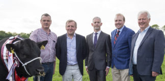 Beefy €23,500 prize fund on offer for Ireland’s best bulls