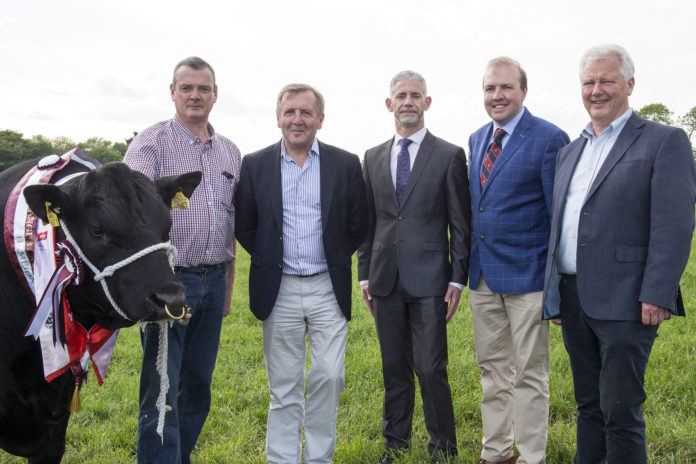 Ben Ryall Watergrasshill Aldi launch Web 1920px@13-06-2018-11:10:08.jpg