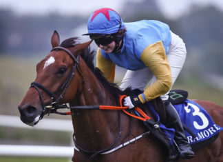 Nicholson’s hot streak continues in Tramore