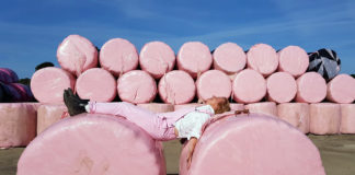 Farmers – Bale pink for breast cancer awareness