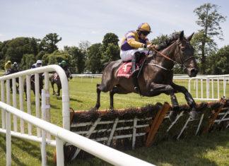 Wexford winners for Cork jockeys