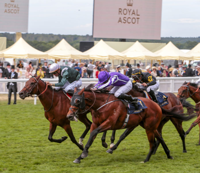 mercahnt-navy-royal-ascot-web-1920px@27-06-2018-13:57:54.jpg