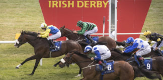 Hayes strikes with 25/1 winner