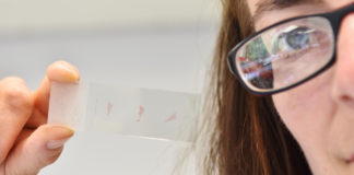 Scientists to rethink how they reconstruct the colour of fossils after UCC-led discovery