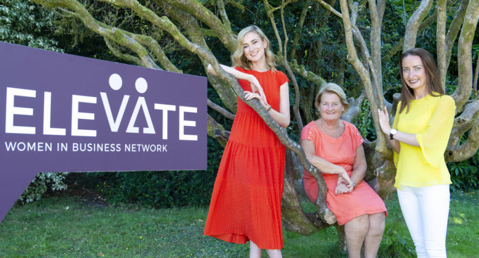 Elevate Launch Web 1920px@25-07-2018-11:51:16.jpg