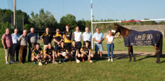 Fermoy GAA swap hurleys for horses