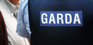€10,000 Fermoy cannabis bust