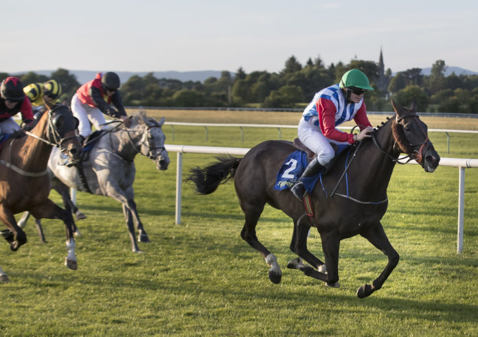 Here for the Craic Web 1920px@15-08-2018-18:25:40.jpg
