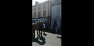 Tallow Horse Fair 2018