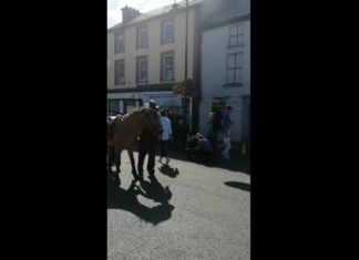 Tallow Horse Fair 2018