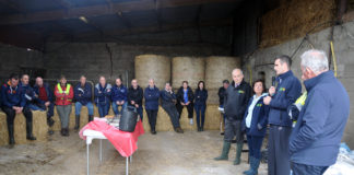 IFA President stresses importance of low-cost loans for farmers