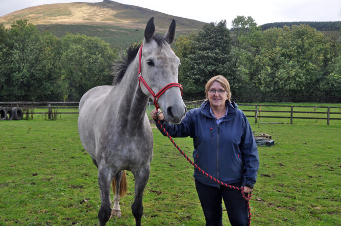 Caroline Murphy Ainrush Stables Web 1920px@03-10-2018-12:50:06.jpg