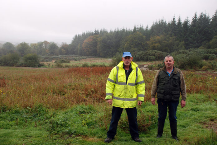Rathcormac Nature Reserve Web 1920px@10-10-2018-12:08:19.jpg