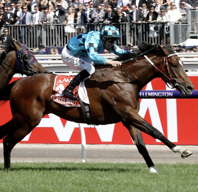 Johnny Allen Araglin Australia 2018 Victoria Cup Extra Brut@07-11-2018-18:54:44.jpg