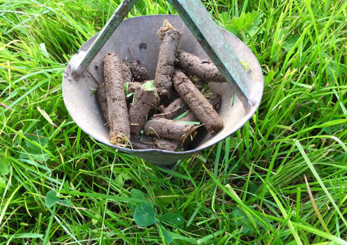 Soil Sample Core FRS Cahir@12-12-2018-22:06:03.jpg