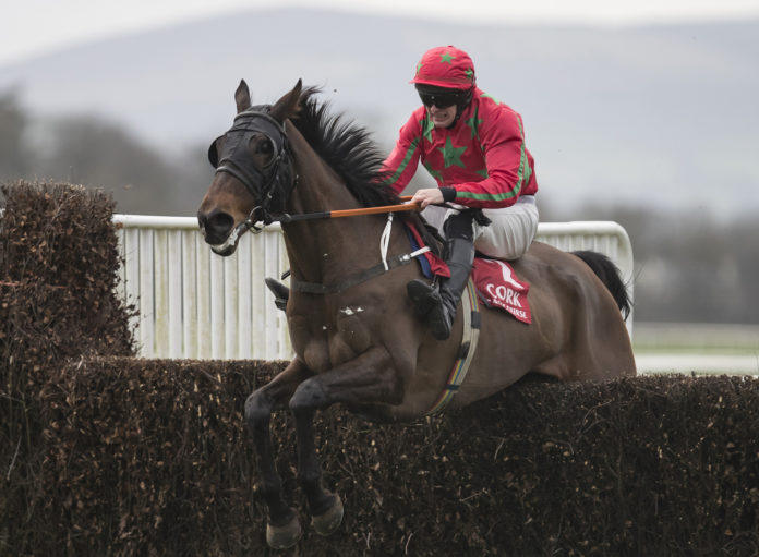 Bridies Boy Cork Web 1920px@09-01-2019-17:47:06.jpg