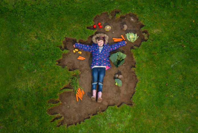Get Ireland Growing 3 Web 1920px@01-01-2019-14:25:23.jpg