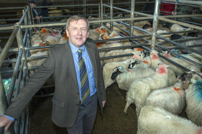 Minister Launches Sheep Welfare Scheme 6 Web 1920px@16-01-2019-19:03:17.jpg