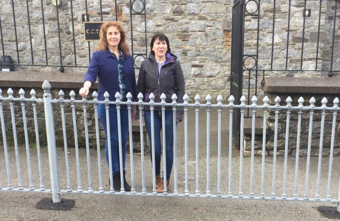 PR Lismore playground 2 railings@21-01-2019-16:37:30.jpg