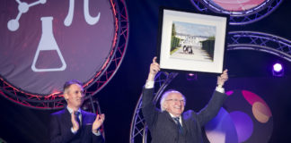Fermoy artist paints commission for President Higgins