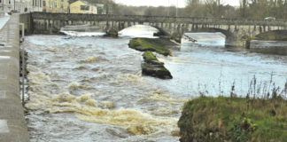 Fermoy Weir campaigners: “If we didn’t have this petition, we would have no power”