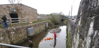 Hundreds of young fish saved from Mill Race