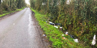 Call for CCTV cameras in Pollardstown after fly-tippers strike again