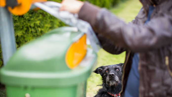 Dog Fouling Web Stock 1920px@20-03-2019-20:16:24.jpg