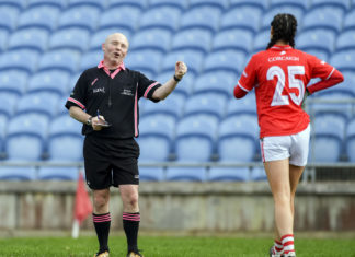 Cork ladies clinch semi-final spot, wins for Tipp, Waterford and Limerick also